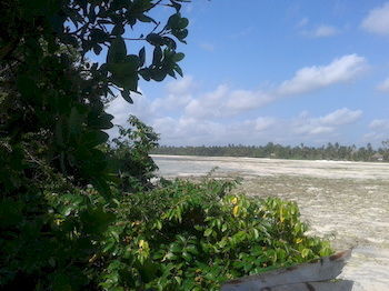 Zanzibar Rock Hotel Pongwe