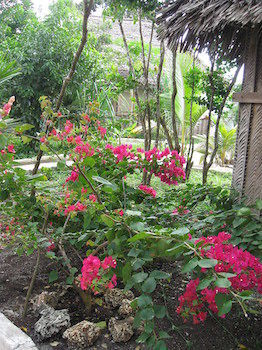 Hotel Zanzibar Rock 3*