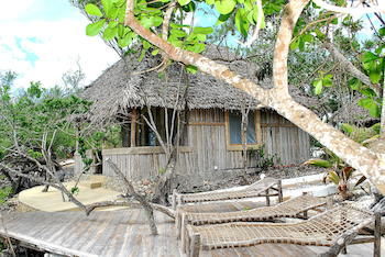 Zanzibar Rock Pongwe
