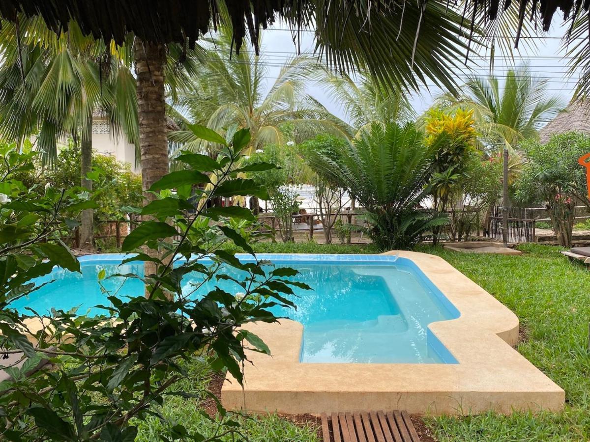 Art Zanzibar Bed & Breakfast
