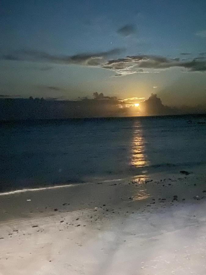 Art Zanzibar Bed & Breakfast 3*