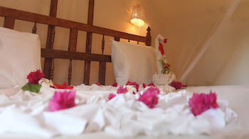 Palumbokendwa 4*