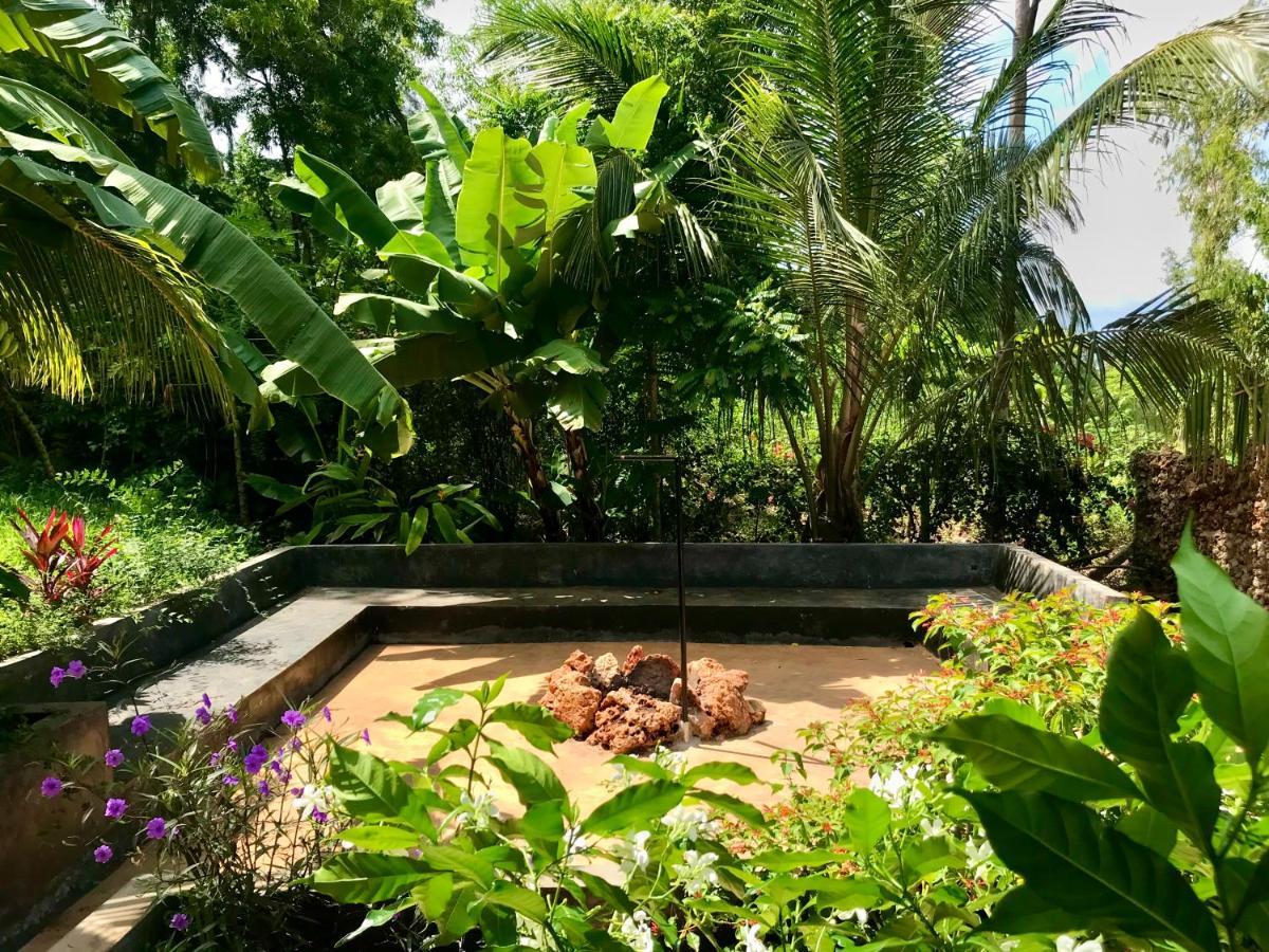 Solomon Of Zanzibar - Ocean View Nature Kidoti