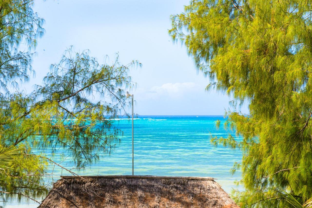 Resort Geo Zanzibar