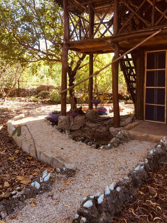 Eco-farm Jambiani (Zanzibar)