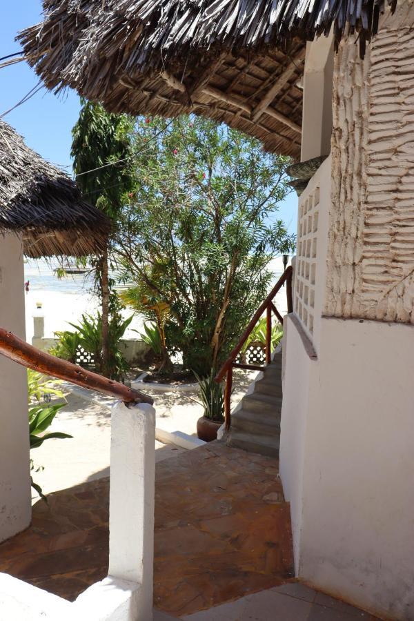 Red Monkey Jambiani (Zanzibar)