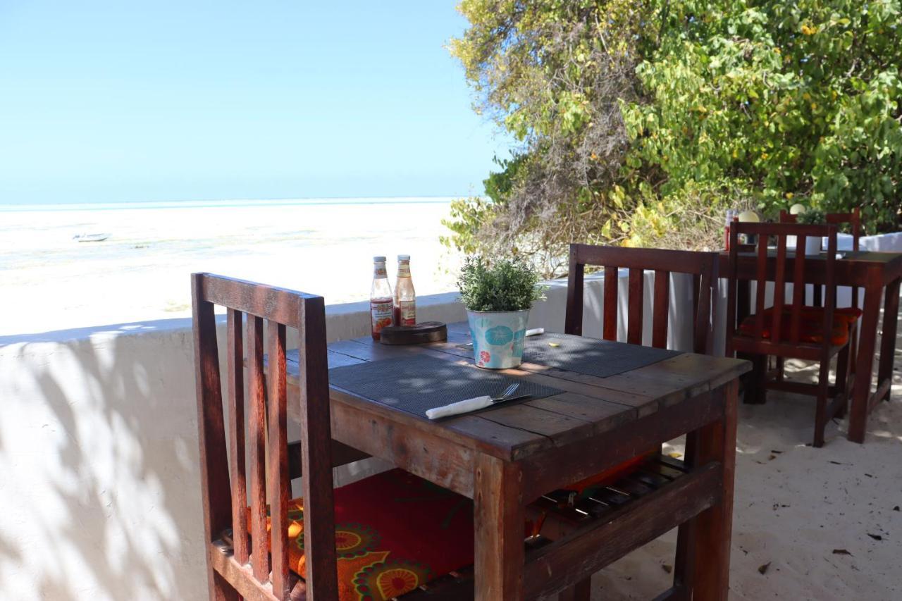 Red Monkey * Jambiani (Zanzibar)