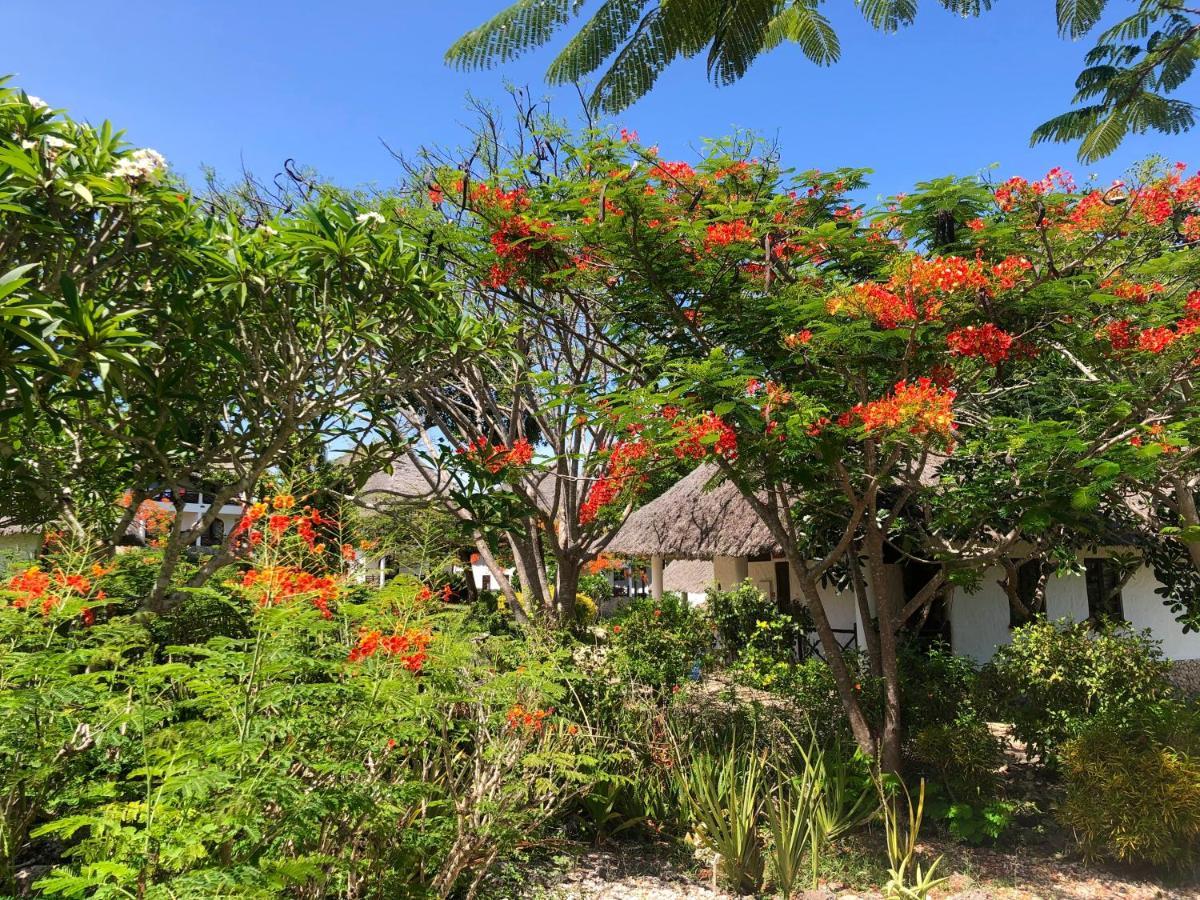 Hotel Bluebay &