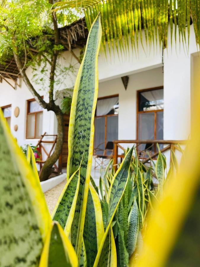 Babalao Hotel