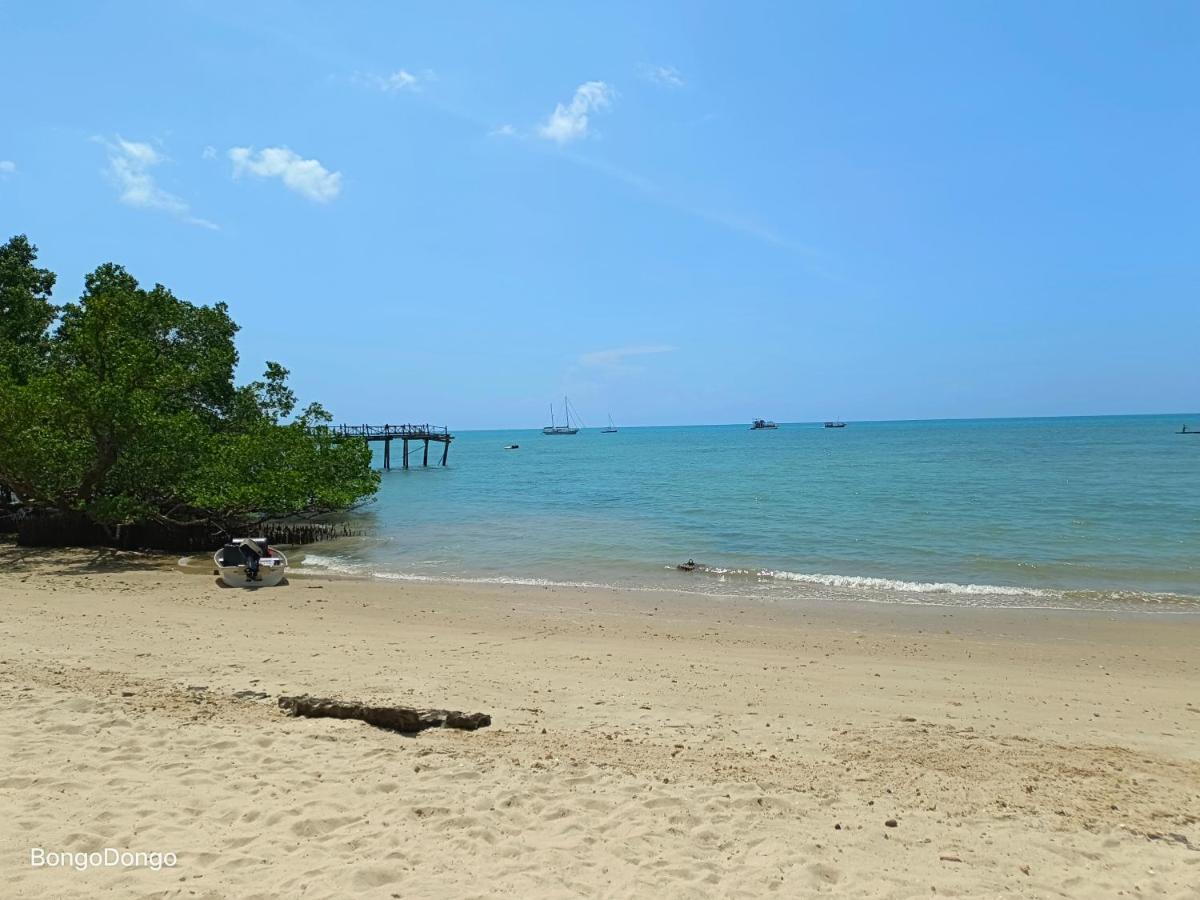 Homestay Dongobongo Zanzibar