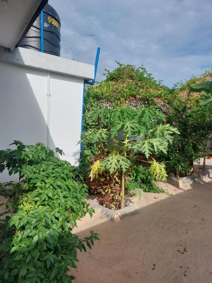 Apartment Eco Nungwi
