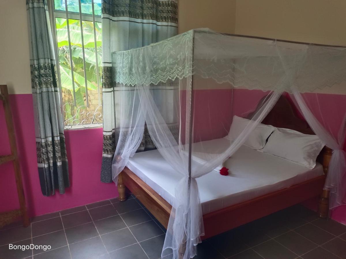 Homestay Dongobongo