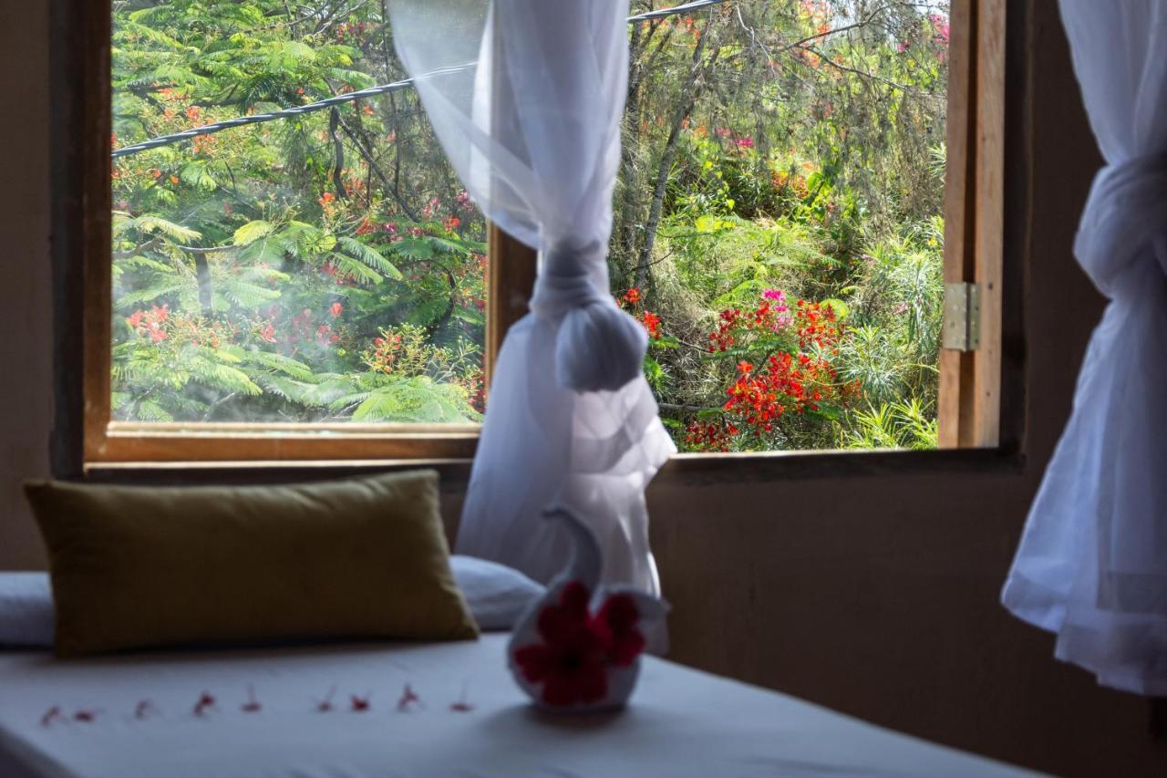 Garden Boutique 3*