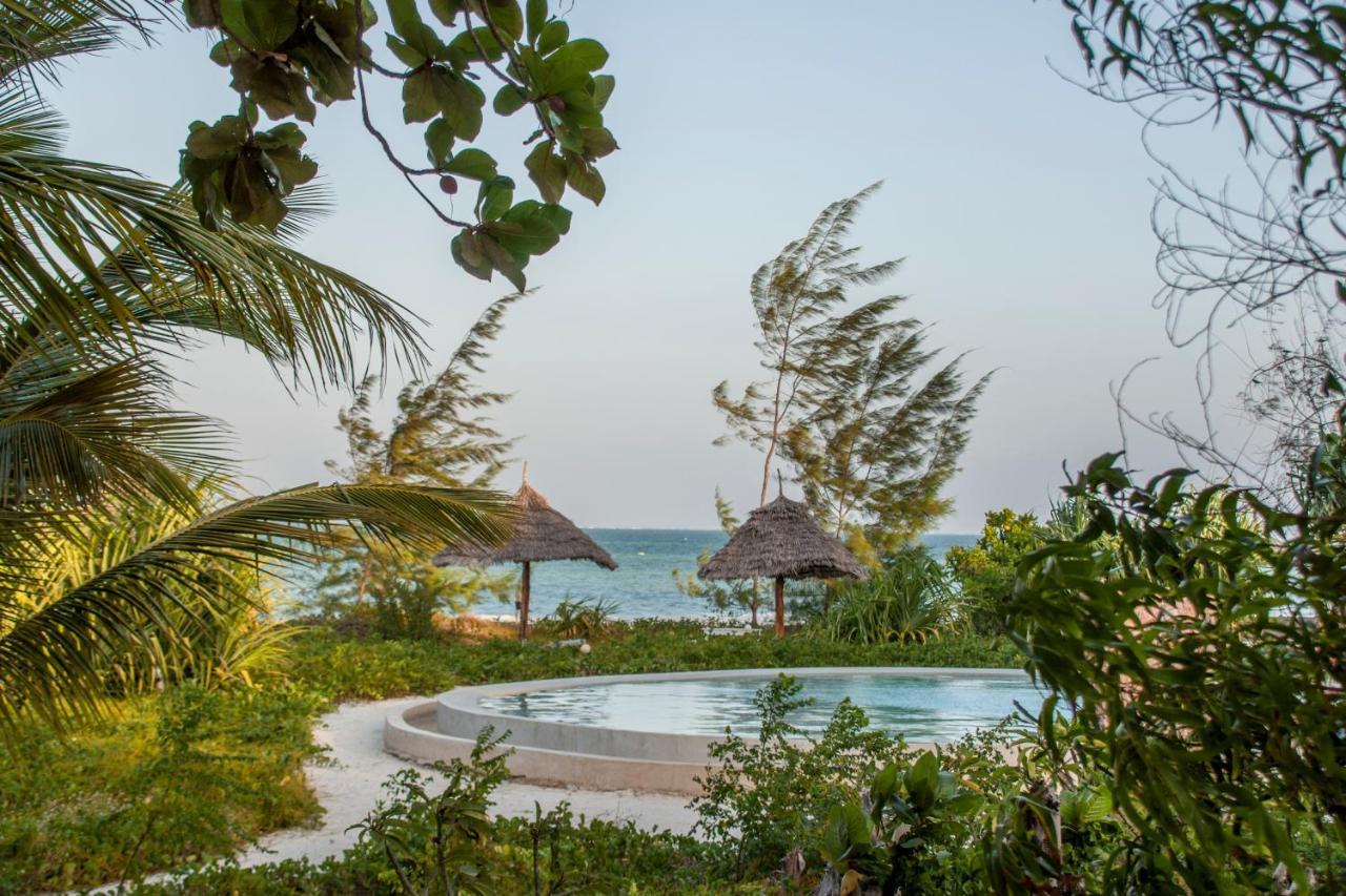 Hotel The Cove Paje