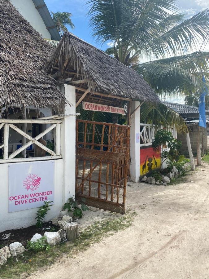 Guest house Ocean Wonder Dive & *