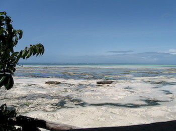Zanzibar Rock 3* Pongwe
