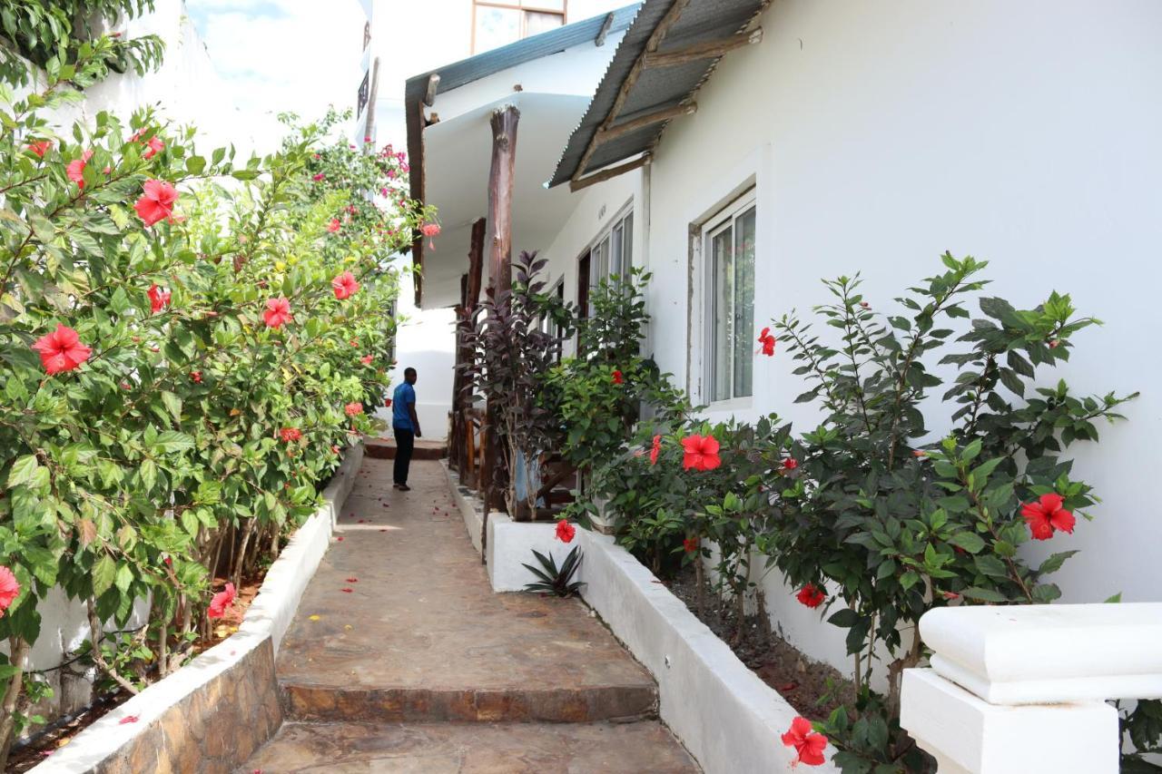 Mocco Bed & Breakfast Kendwa