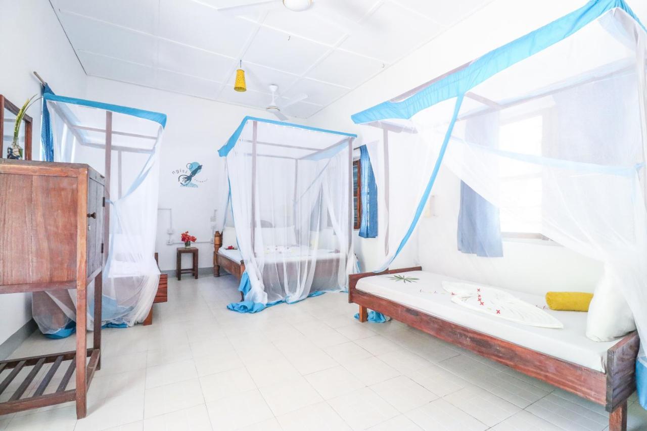 New Teddy's On The Hostel Jambiani (Zanzibar)