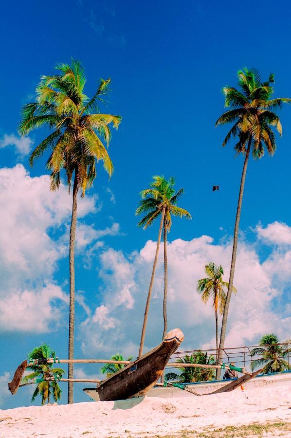 Palm Tree