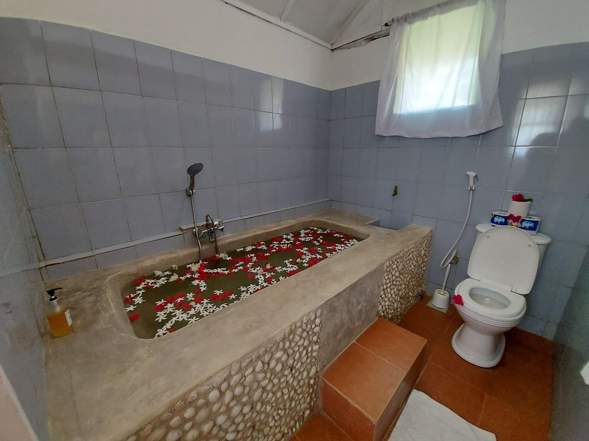 Albatross Ocean View Hotel Dongwe