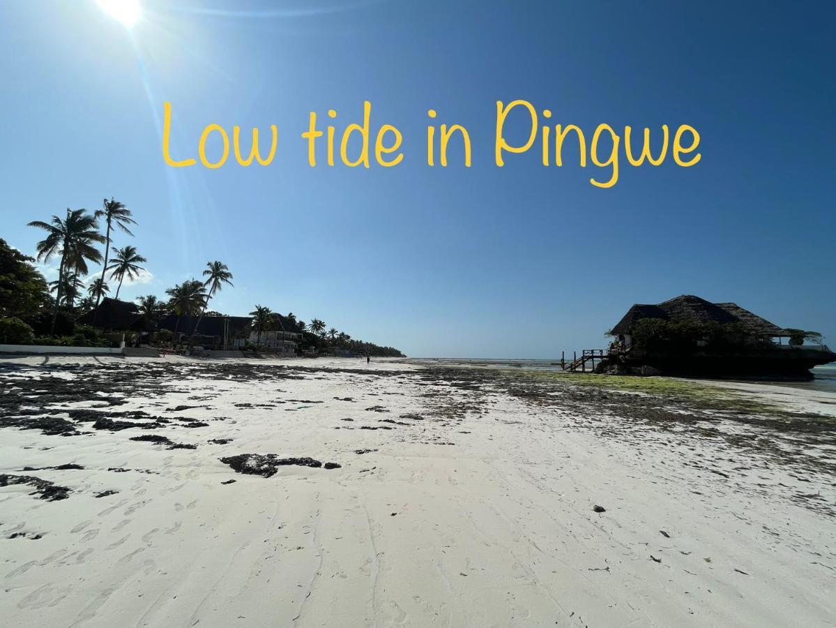 Hotel Tropical Boutique & Resto Pingwe