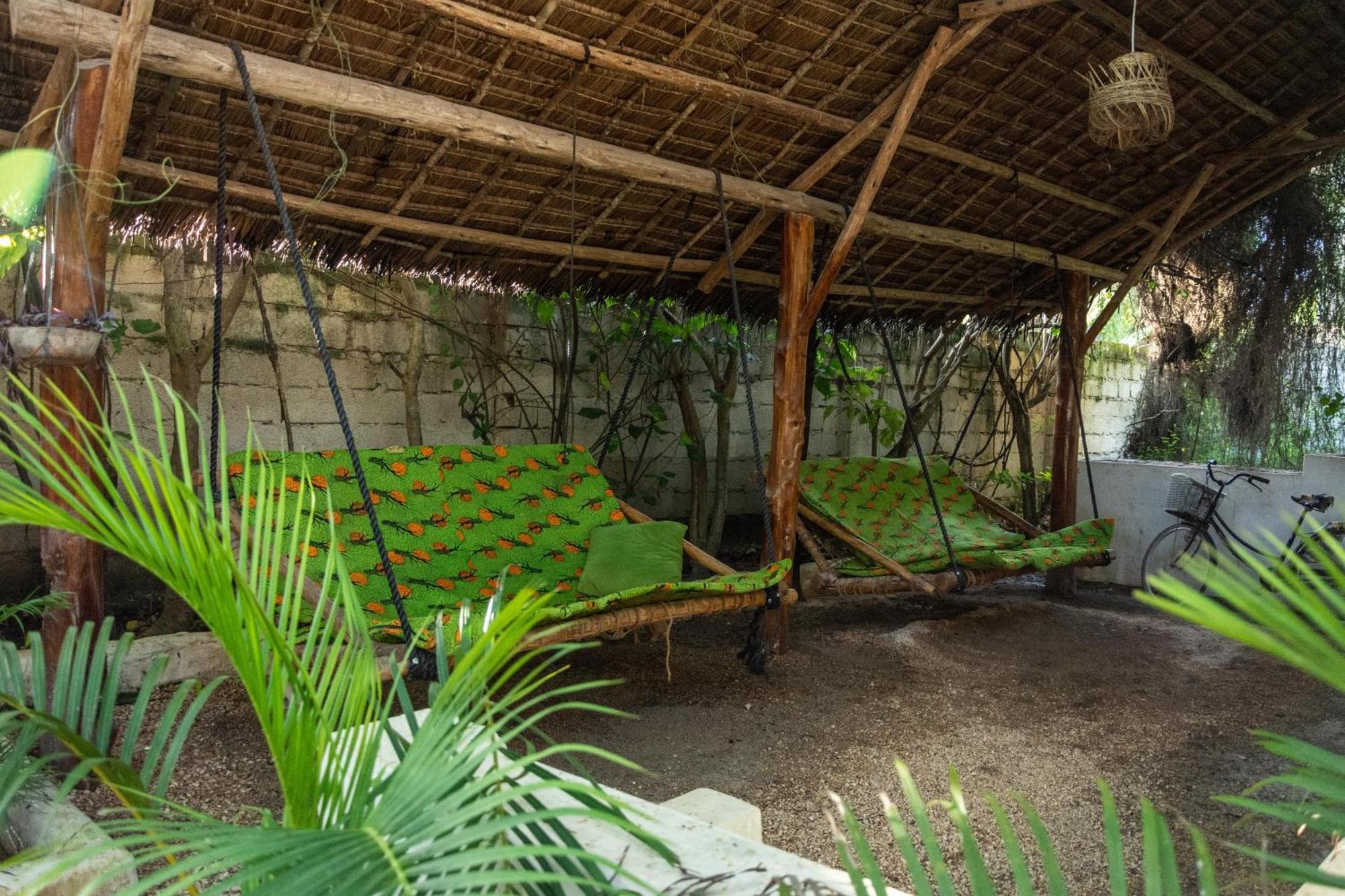 Pasha Zanzibar Nungwi
