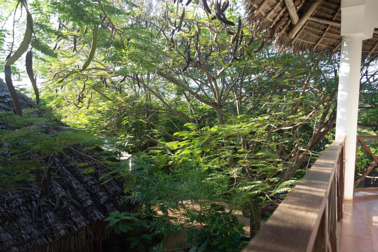 Pasha Zanzibar 3* Nungwi