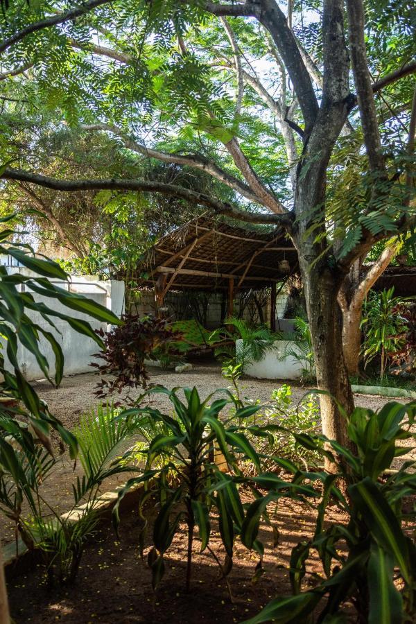 Hotel Pasha Zanzibar