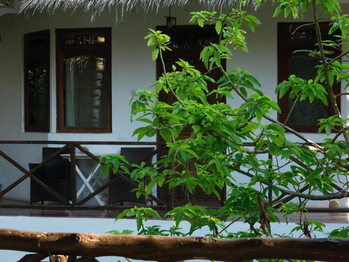 Pasha Zanzibar Nungwi