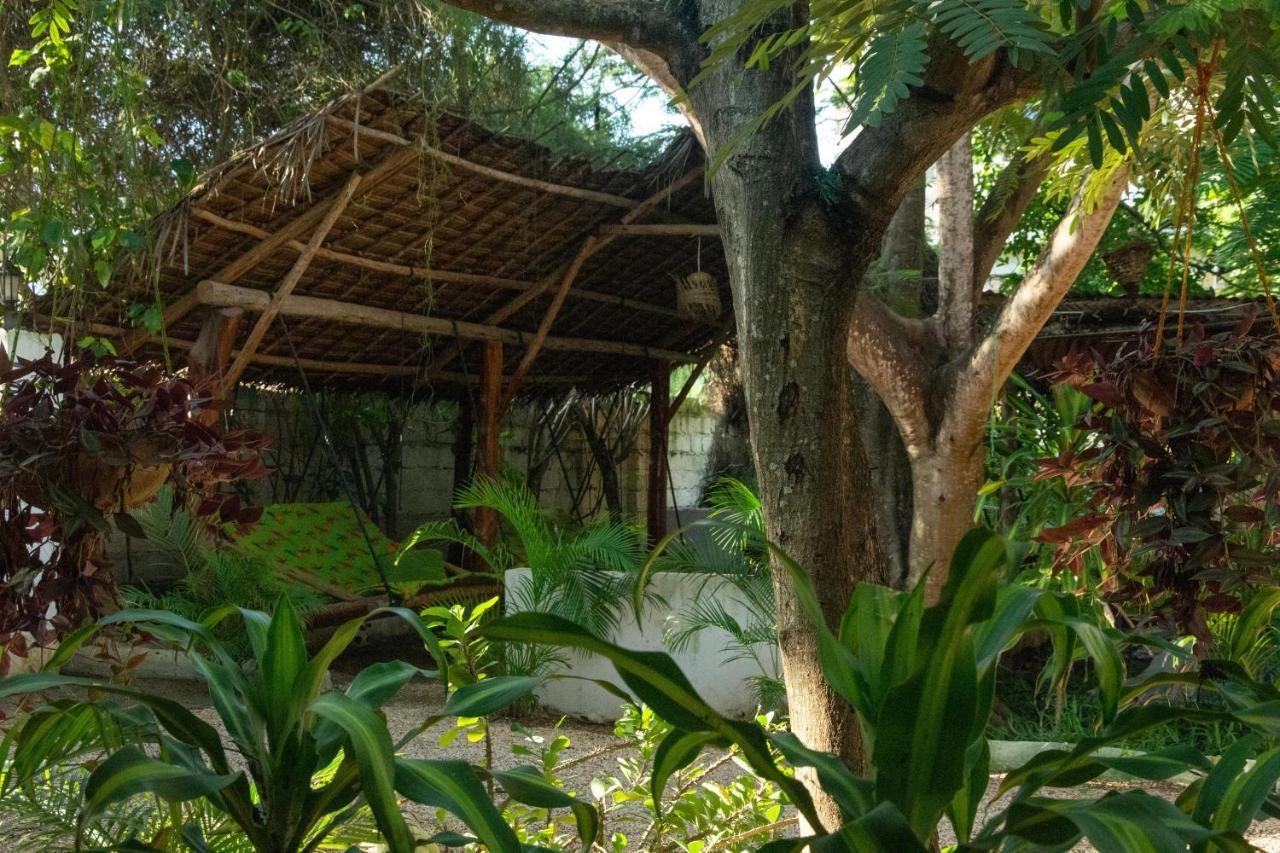 Pasha Zanzibar Hotel