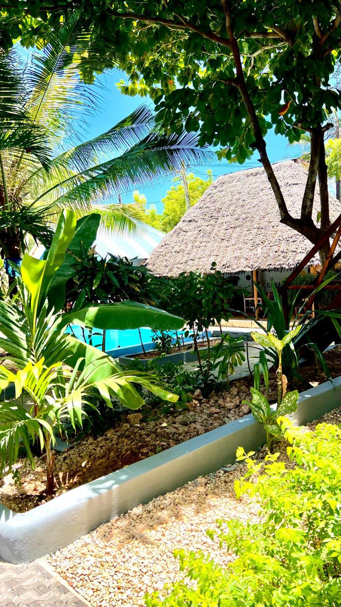 Kilimanjaro Bed & Breakfast Nungwi