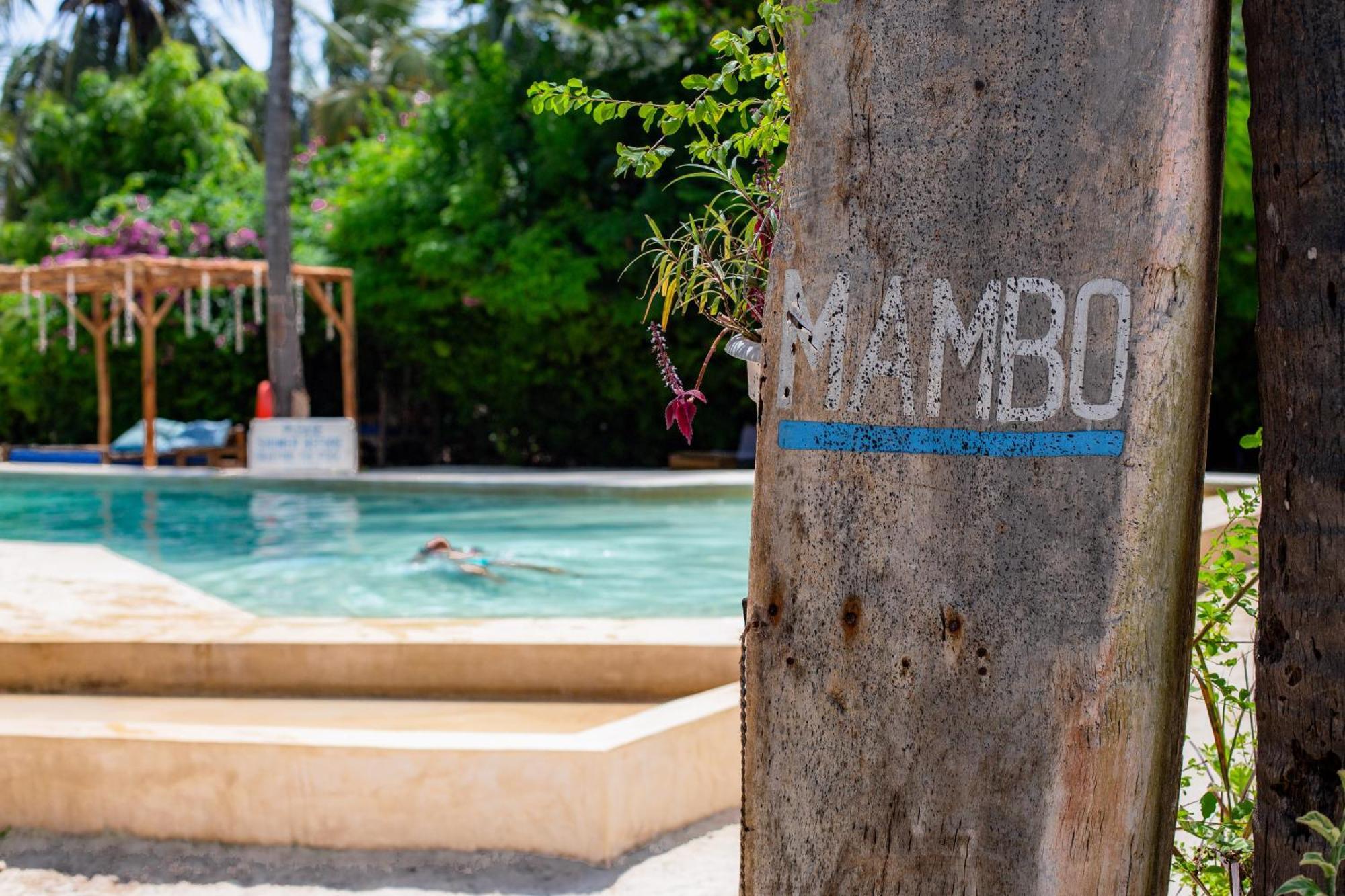 New Teddy's On The Jambiani (Zanzibar)