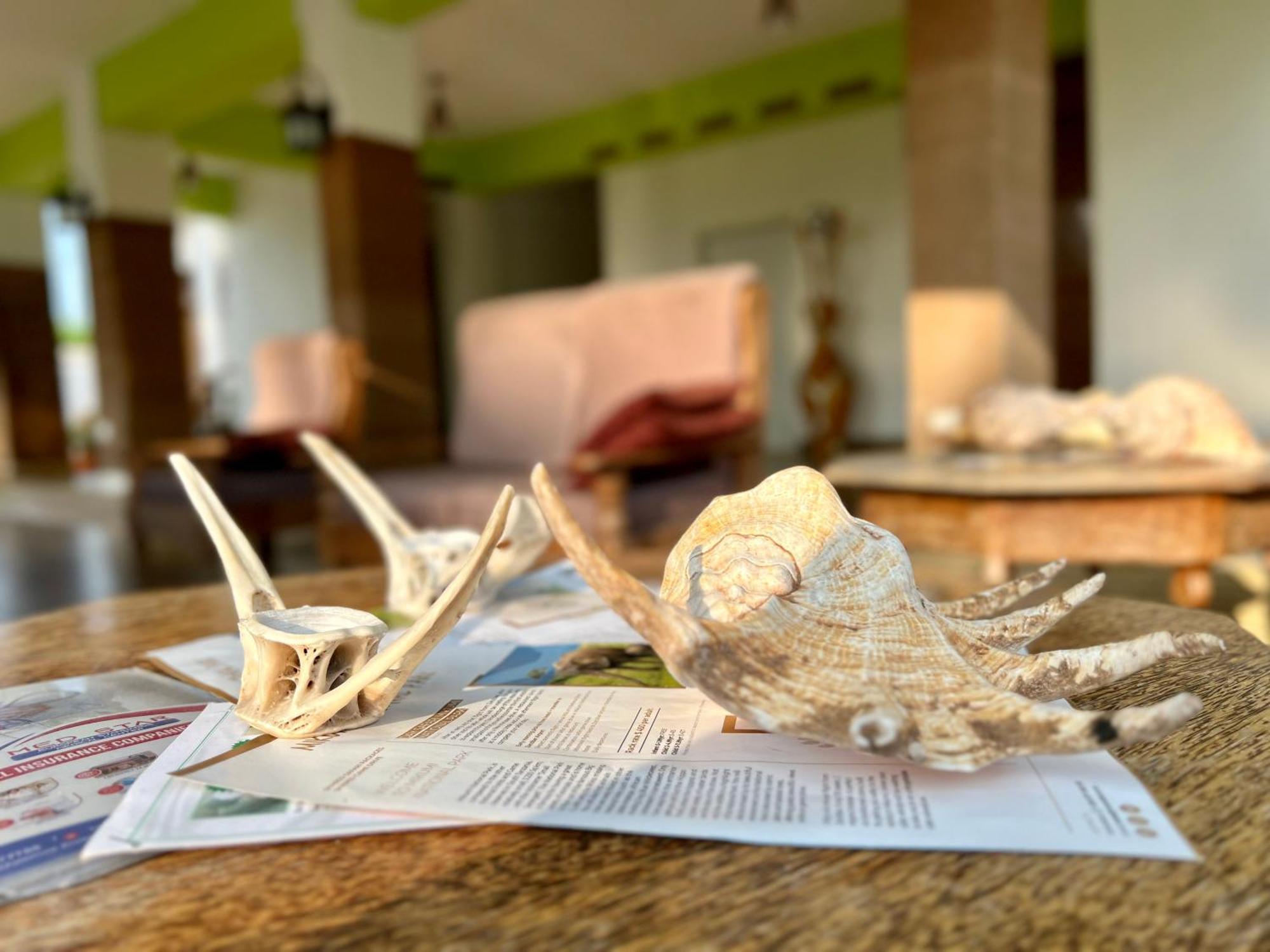 Zanoceanique 3* Matemwe (Zanzibar)