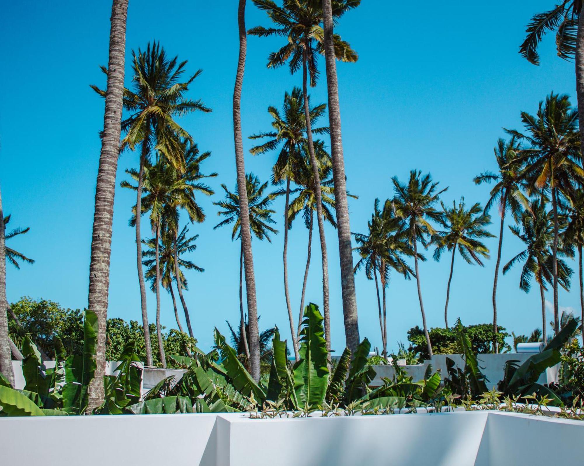 Ycona Luxury Hotel