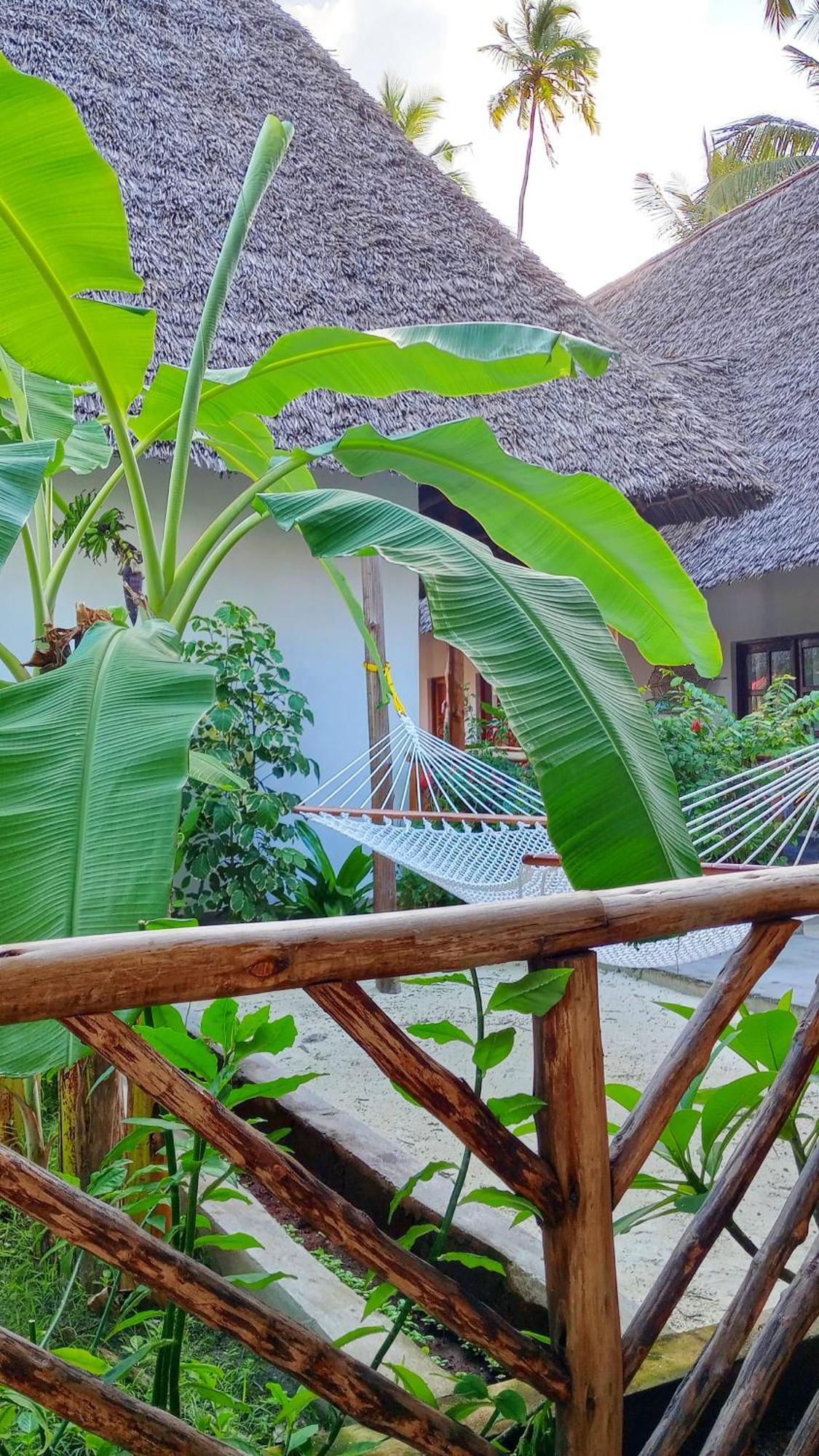 Polly Zanzibar Kiwengwa (Zanzibar)