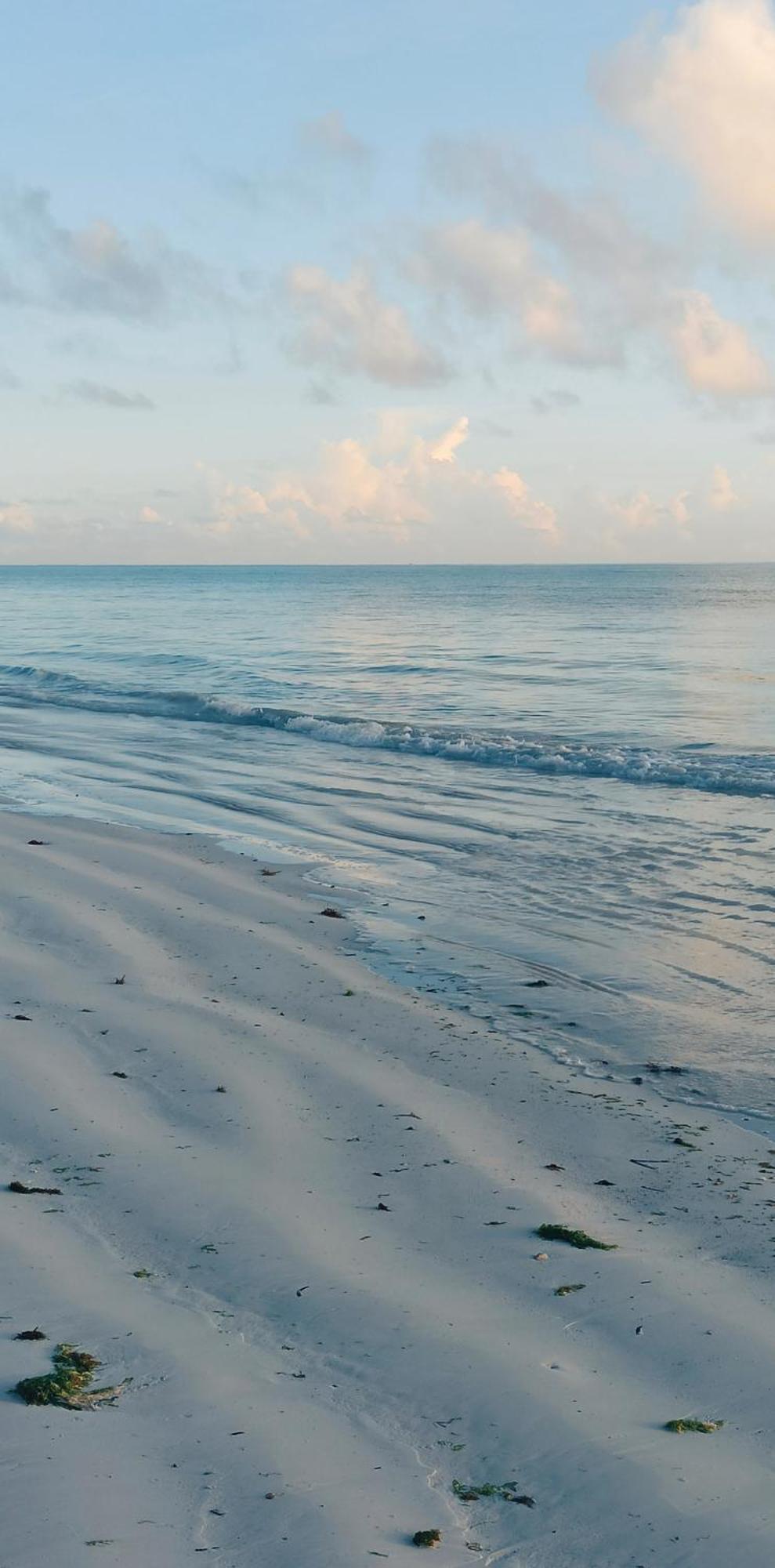Art Zanzibar