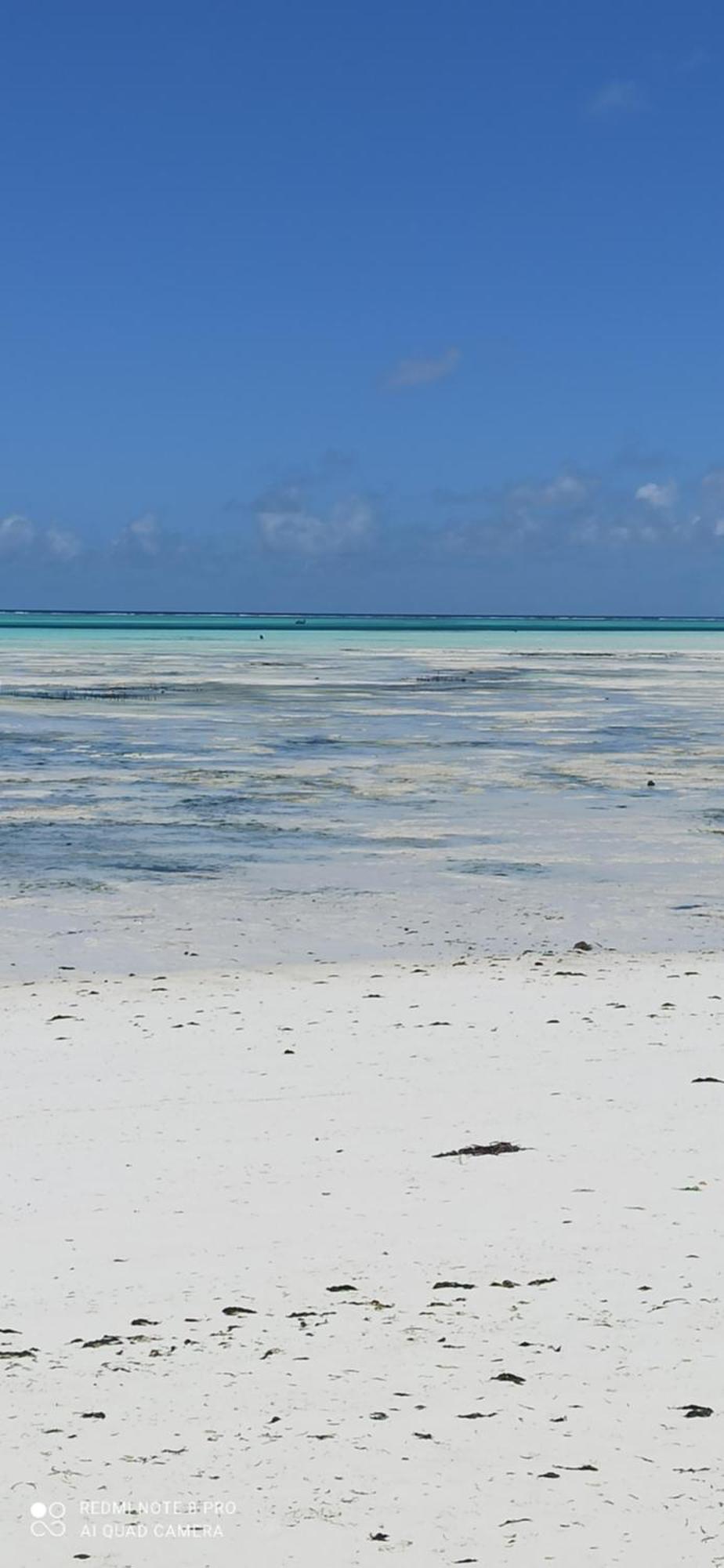 Art Zanzibar Bed & Breakfast 3*