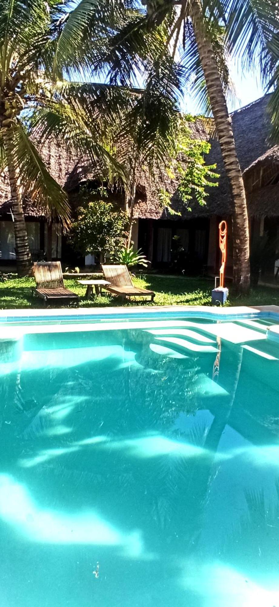 Art Zanzibar 3*