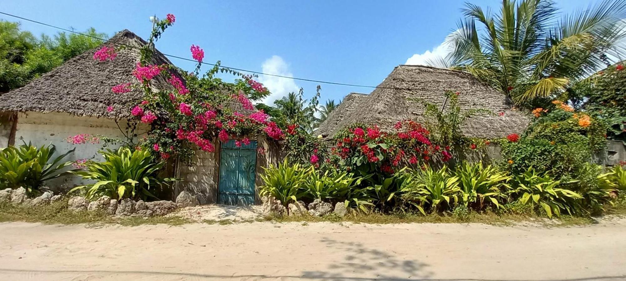 Guest house Morningstar Zanzibar