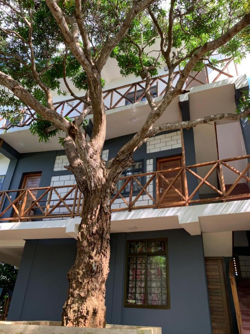 Bed & Breakfast Panopano House *