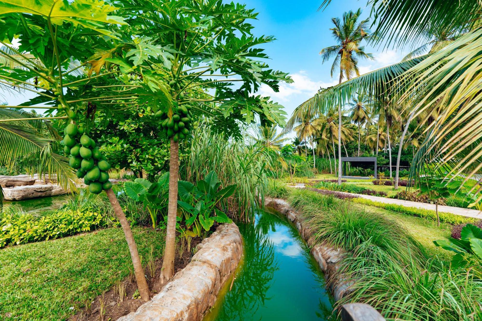 Ycona Luxury Hotel 5*