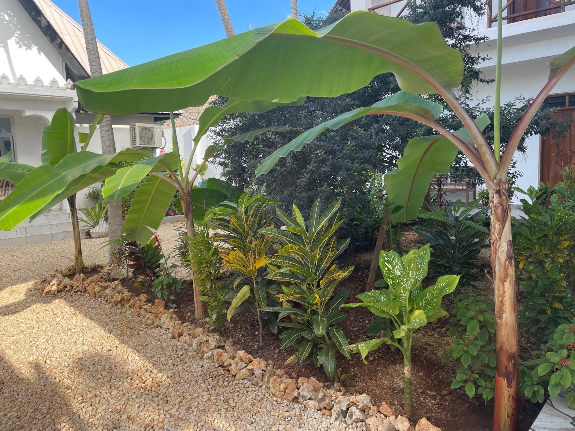 Daniel Zanzibar Hotel Nungwi