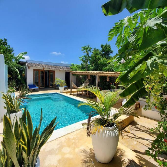 Villa Bukoba - Olive - Private Pool, Ac & Wi-fi Nungwi