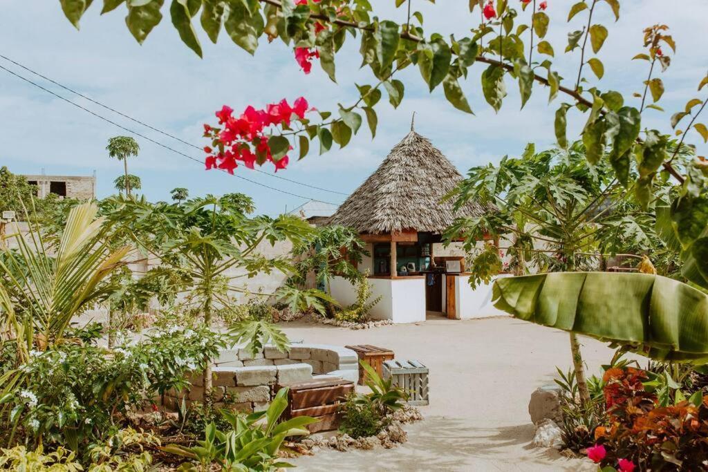 Bukoba - Olive - Private Pool, Ac & Wi-fi Villa Nungwi
