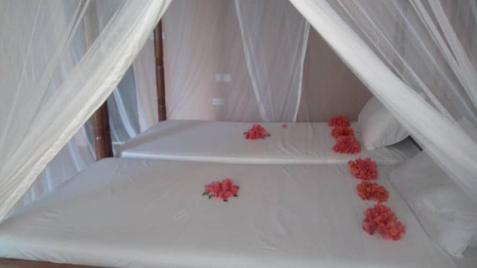 Appartement Minazi Nungwi