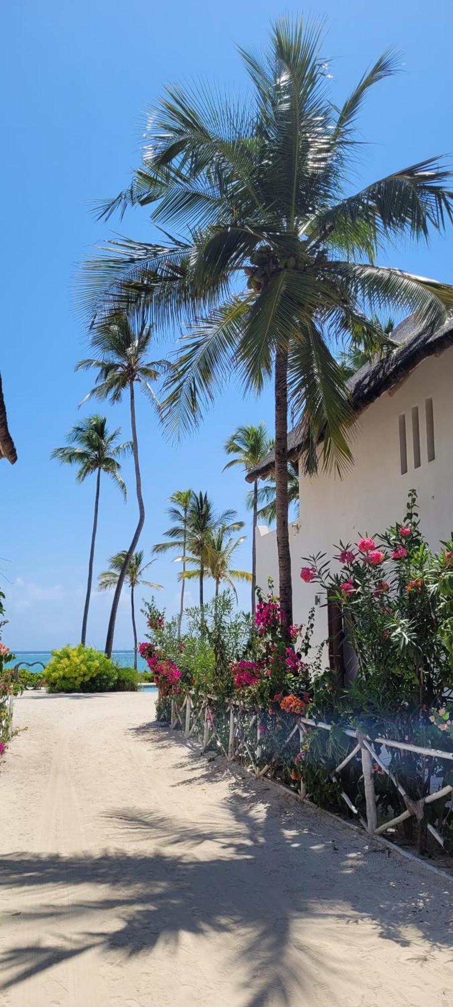 Ocean View With Pool, Zanzibar