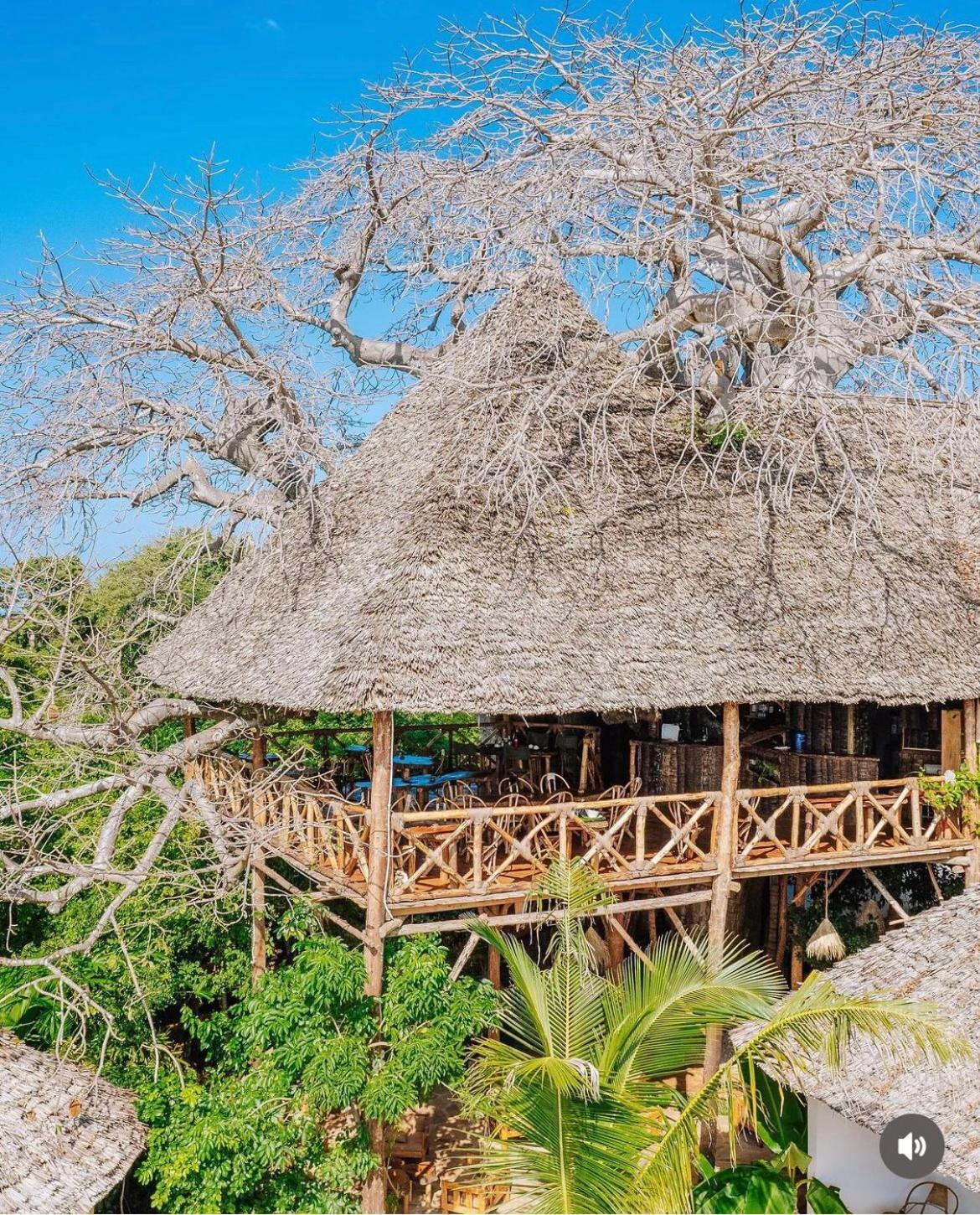 Baobab Africa Zanzibar