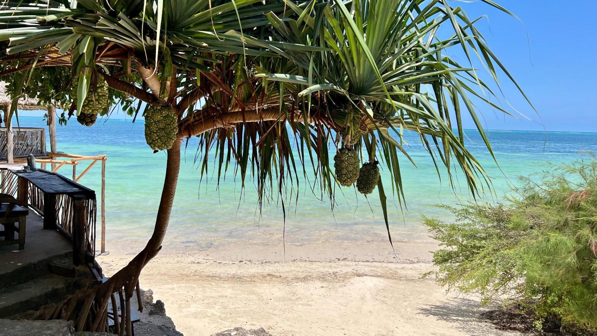 Hotel Z-lodge Zanzibar 4*