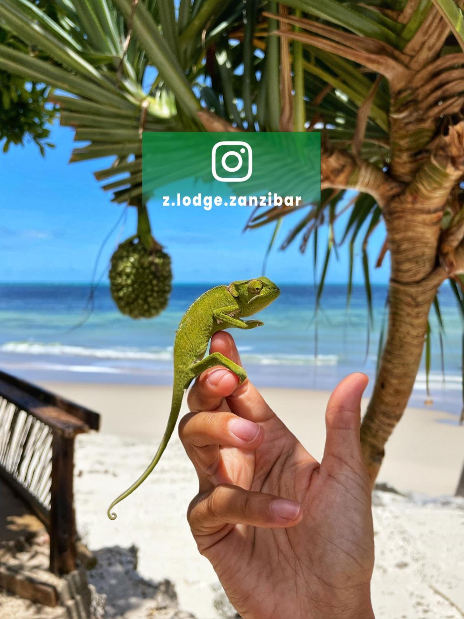 Z-lodge Zanzibar Kiwengwa (Zanzibar)