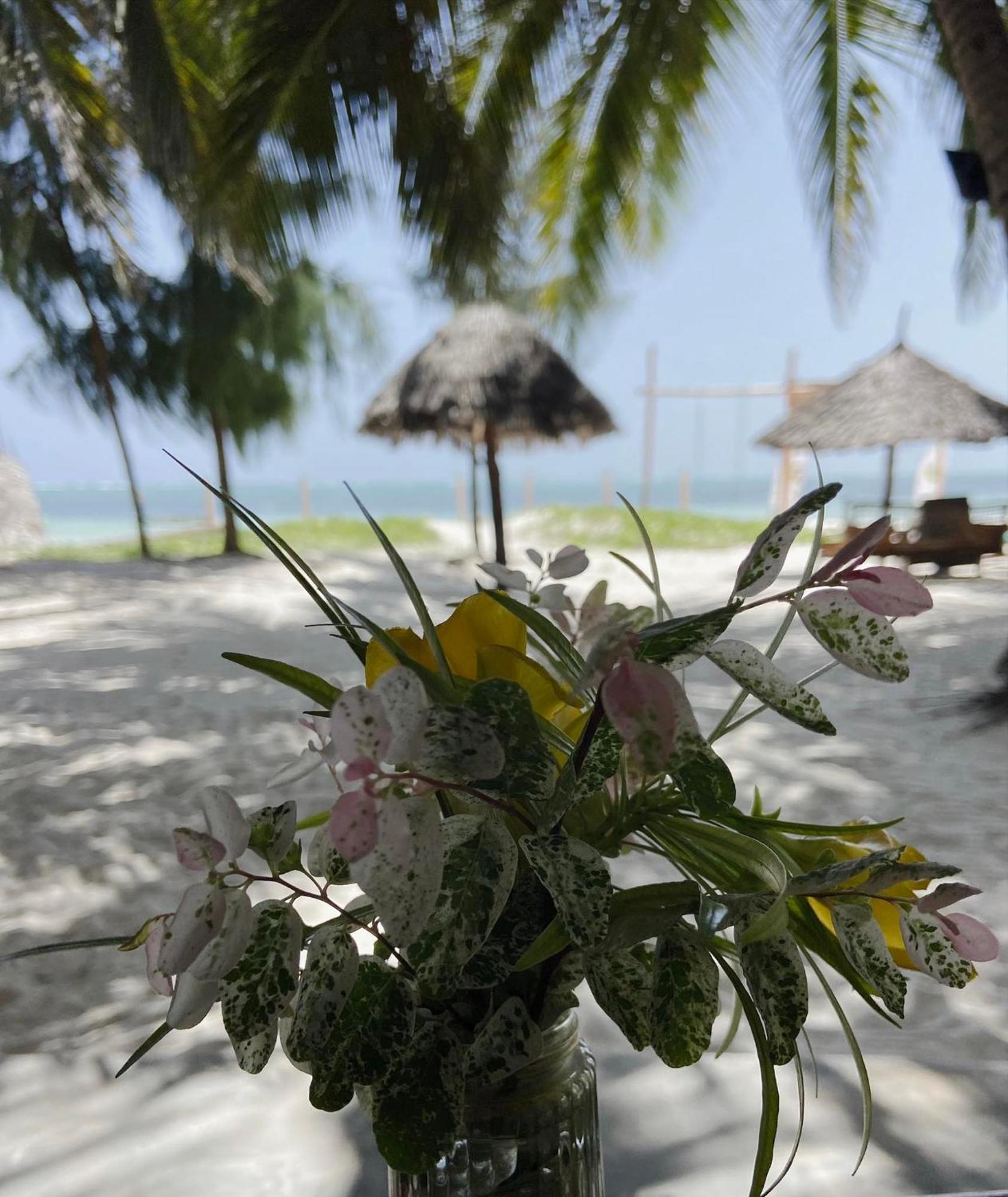 Zanzibar Gem Aparthotel *